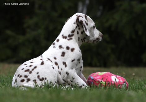 Xperience Me vom Teutoburger Wald (8. Woche)