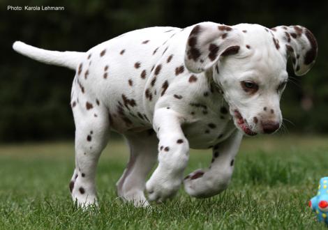 Xperience Me vom Teutoburger Wald (8. Woche)