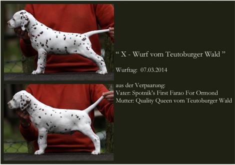 Xperience Me mit ihrem Bruder Xavier vom Teutoburger Wald (6. Woche)