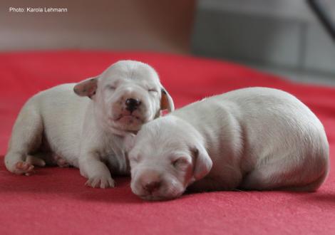 Lady Ohne und Mr. Ohne