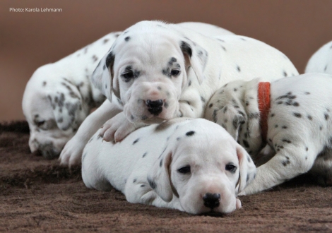 Mr. Schwarz und Mr. Grün