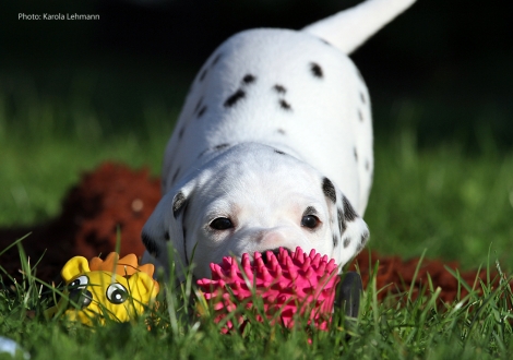Yupiter Moon vom Teutoburger Wald
