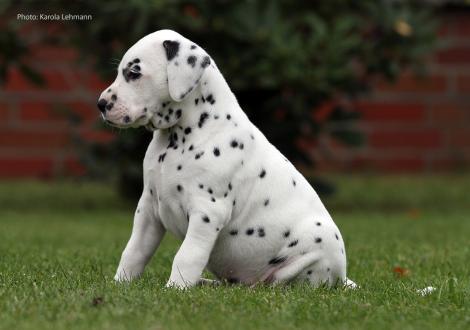 Yasmin Bloom vom Teutoburger Wald