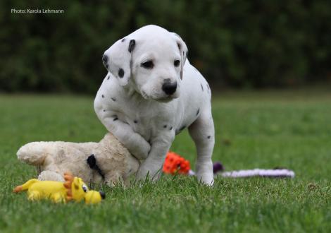 Yasmin Bloom vom Teutoburger Wald
