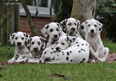 Opa Spotnik´s First Farao For Ormond mit seinen Enkelkindern