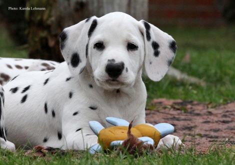 Yasmin Bloom vom Teutoburger Wald