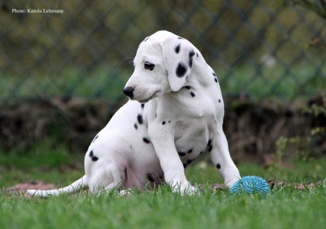 Your Eminenz vom Teutoburger Wald