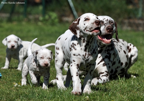Mama Christi ORMOND Empress Edition mit ihrem Sohn Mr. Blau und Christi ORMOND Optimus Prime