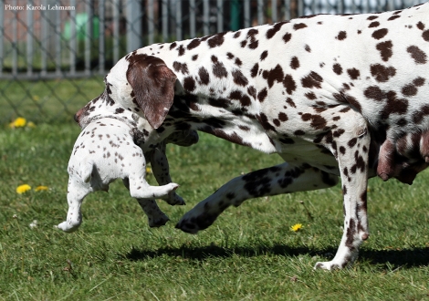 Mama Christi ORMOND Empress Edition mit ihrer Tochter Lady Gelb