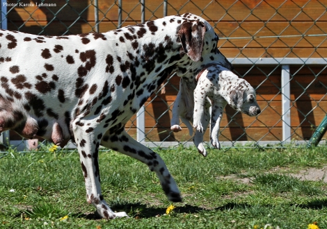 Mama Christi ORMOND Empress Edition mit ihrer Tochter Lady Gelb