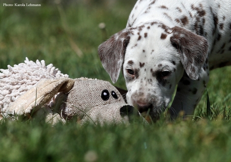 Betty Boop vom Teutoburger Wald