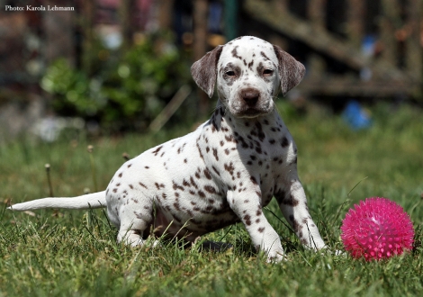 Beloved By´all vom Teutoburger Wald