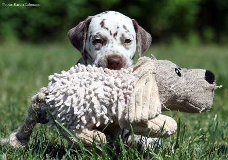 Beloved By´all vom Teutoburger Wald