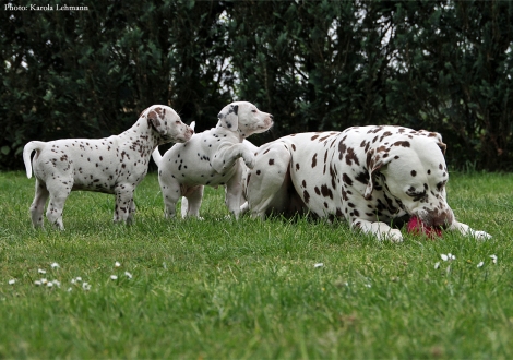 Onkel Christi ORMOND Exquisite Selection mit Butter Biscuit & Brigitte Bardot vom Teutoburger Wald