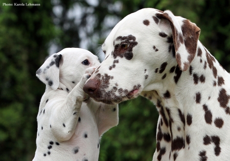 Cousine Christi ORMOND Knjazjouna Kyra mit Brigitte Bardot vom Teutoburger Wald