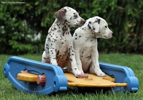 Betty Boop mit ihrer Schwester Brigitte Bardot vom Teutoburger Wald