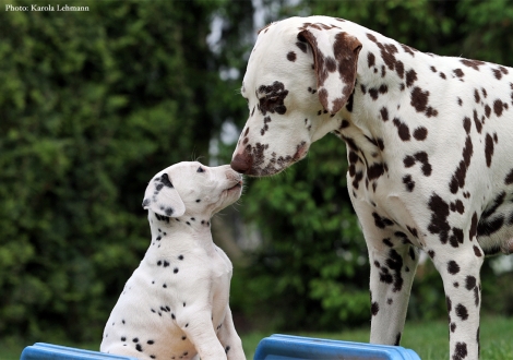 Cousine Christi ORMOND Knjazjouna Kyra mit Brigitte Bardot vom Teutoburger Wald