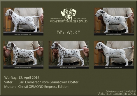 BB-Wurf vom Teutoburger Wald