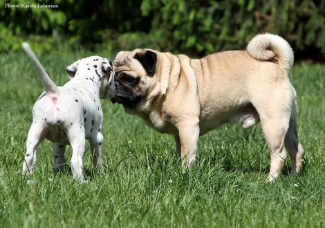 Enano mit Brigitte Bardot vom Teutoburger Wald