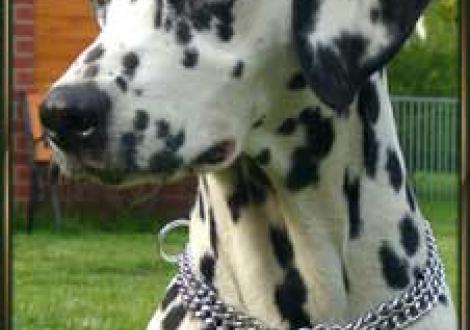 Indian-Magic (3 1/2 Jahre)