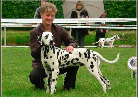 Ozone im Alter von 7 Monaten (mit mir auf der Ausstellung in der Jüngsten-Klasse in Mittweida)