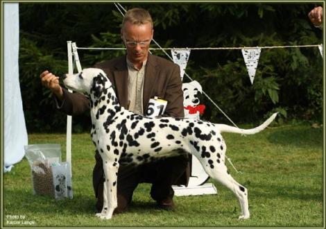 Obonya im Alter von 15 Monaten (auf ihrer Ausstellung in der Zwischen-Klasse in Büren)
