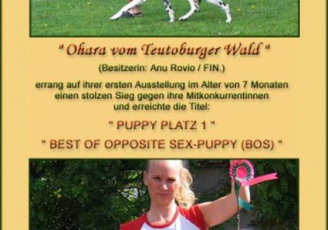 Ohara im Alter von 7 Monaten