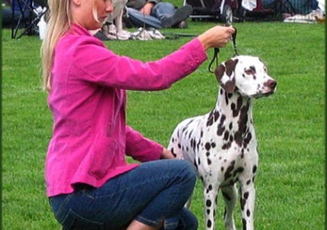 Ohara im Alter von 8 Monaten auf der Ausstellung in Mikkeli/Finnland