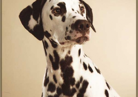 Ohara im Alter von 1 Jahr