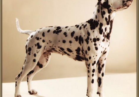 Ohara im Alter von 1 Jahr