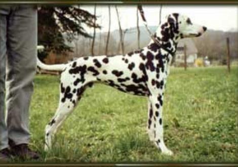 Eleven to Eleven (7 Monate)