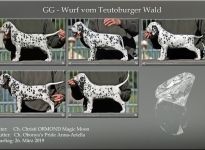 GG-Wurf vom Teutoburger Wald - Standfotos