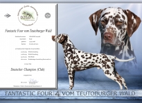 Fantastic Four vom Teutoburger Wald – Neuer Deutscher Champion