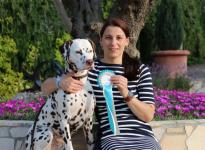 CACIB Dog Show San Marino (RSM)