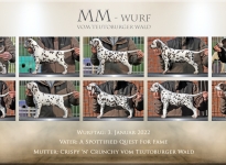 MM-Wurf vom Teutoburger Wald - Standfotos