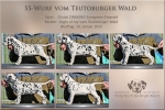 SS - Wurf vom Teutoburger Wald - Standfotos