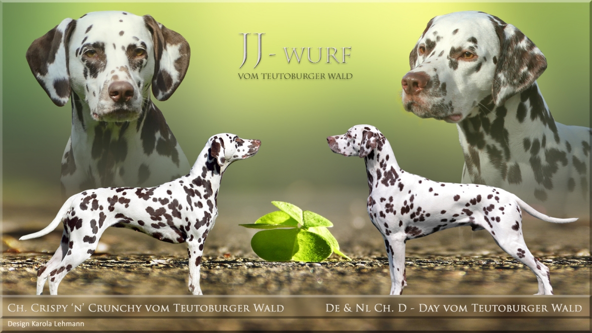 JJ-Wurf vom Teutoburger Wald 