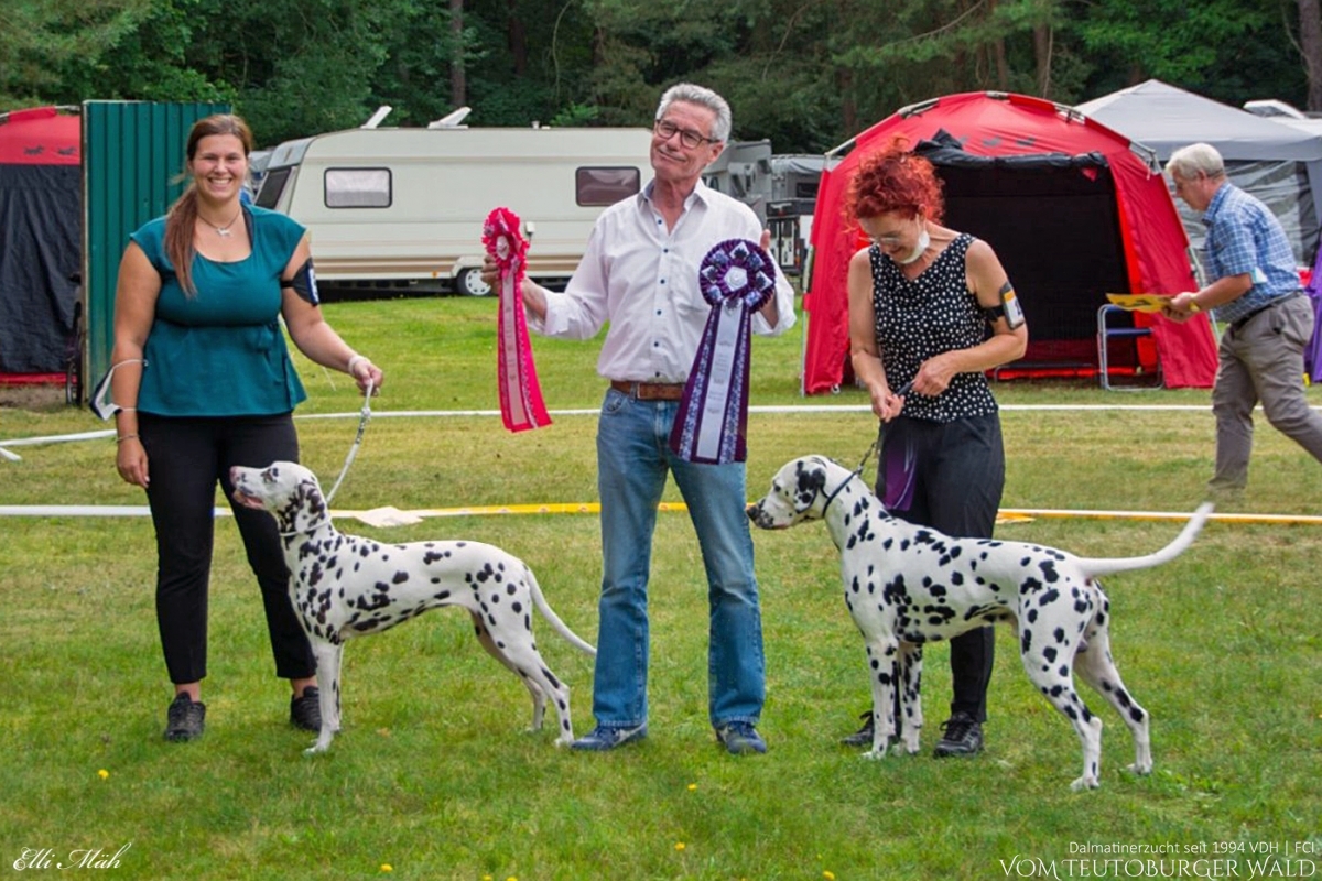 Endearing Edina vom Teutoburger Wald CAC, BOS BESTE HÜNDIN - VDH Siegerin Märkische Schweiz Dot4Dot Hocus Pocus CAC, BOB BEST OF BREED - VDH Sieger Märkische Schweiz