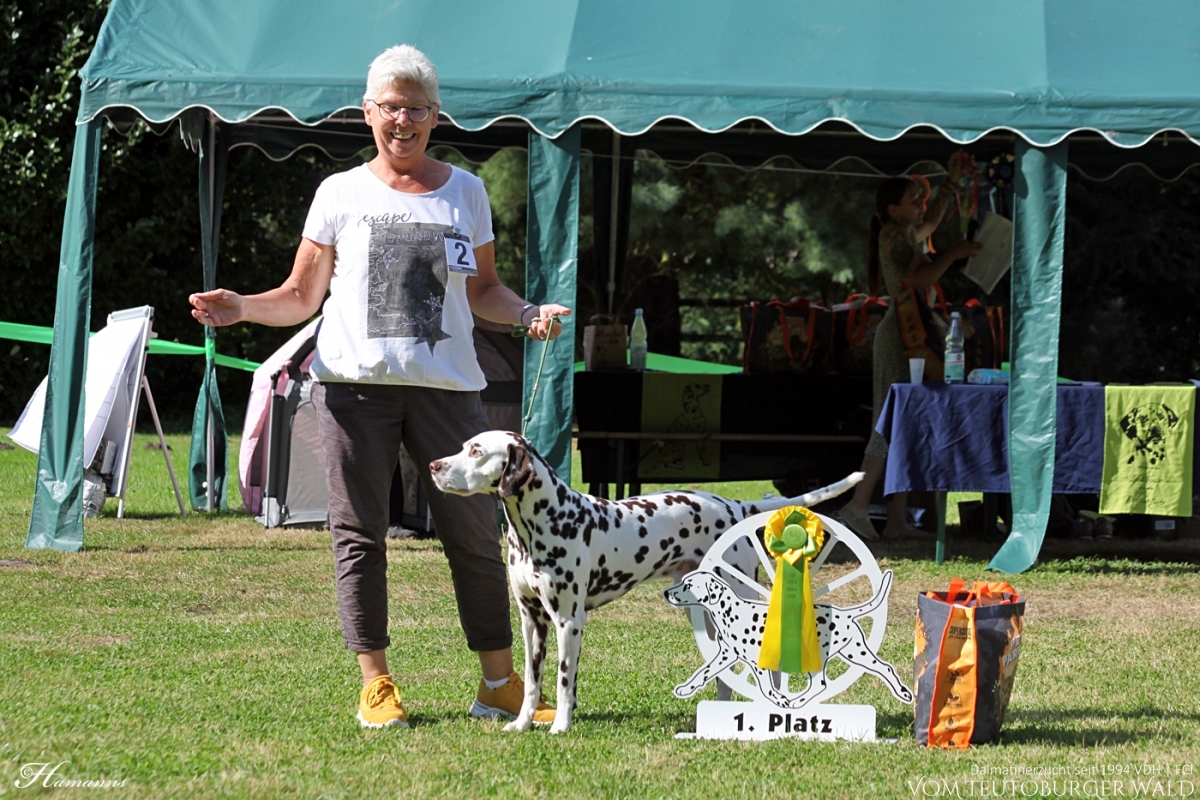 Fun Klasse Rüden (1 Meldung) Epic Excalibur vom Teutoburger Wald Vater: Thalcida's Hamlet Mutter: Christi ORMOND Knjazjouna Kyra Doghandler: Anja Fries - Platz 1,  BESTER FUNHUND -