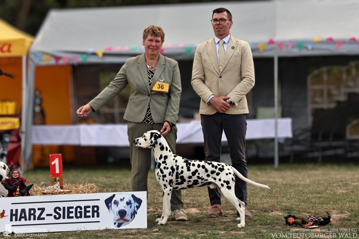 Champion Klasse Rüden Ch. Precious Picasso vom Teutoburger Wald Vater: WW '22 + Multi Ch. Puntinato Ballante Tic Tac Terror Mutter: Ch. Flame of Fame vom Teutoburger Wald 30.08.2026 – Vorzüglich Platz 1 Harz Sieger – BEST OF BREED 29.08.2026 – Vorzüglich Platz 2 Doghandler: Heike Winter Champion Klasse Rüden Ch. Precious Picasso vom Teutoburger Wald Vater: WW '22 + Multi Ch. Puntinato Ballante Tic Tac Terror Mutter: Ch. Flame of Fame vom Teutoburger Wald 30.08.2026 – Vorzüglich Platz 1 Harz Sieger – BEST OF BREED 29.08.2026 – Vorzüglich Platz 2 Doghandler: Heike Winter