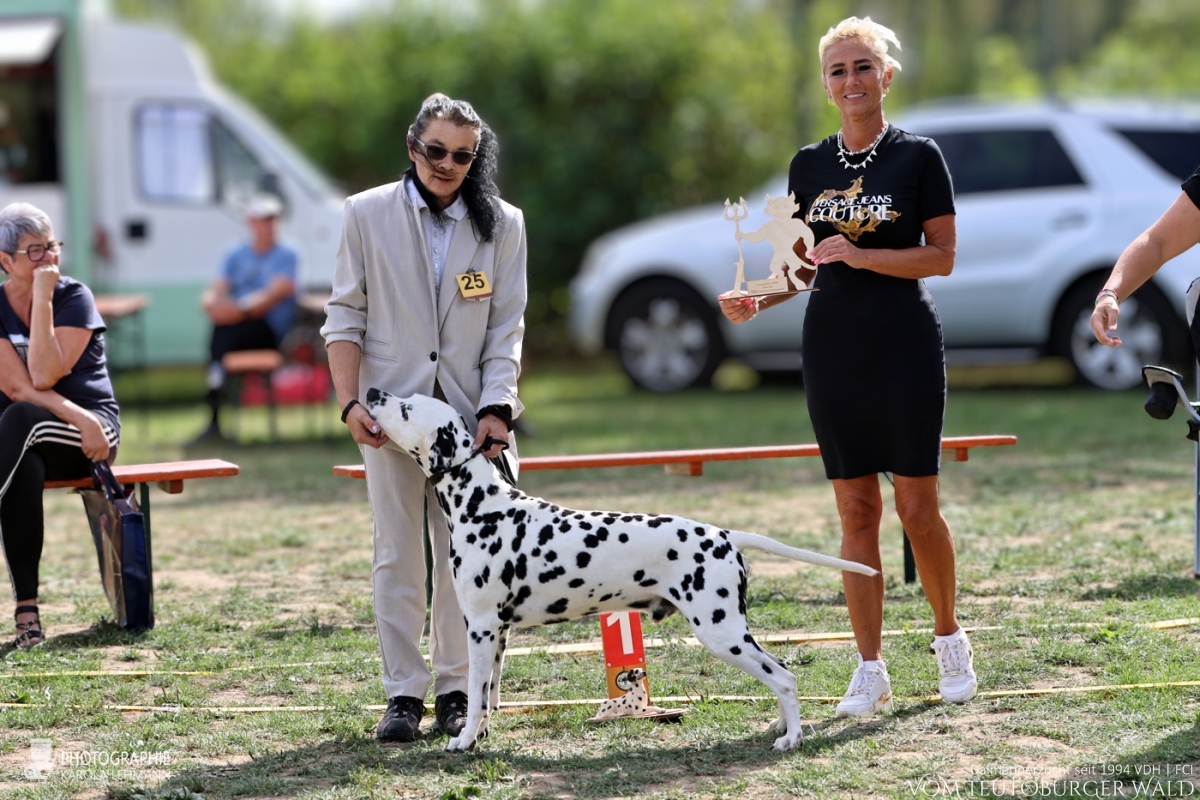 Veteranen Klasse Rüden Int.+ Multi Ch. Canadian Club vom Teutoburger Wald Vater: Asshay vom Gramzower Kloster Mutter: Ch. Obonya's Pride Anna-Ariella 29.08.2026 – Vorzüglich Platz 1 30.08.2026 – Vorzüglich Platz 2 Doghandler: Angelique Kronefeld-Obert Veteranen Klasse Rüden Int.+ Multi Ch. Canadian Club vom Teutoburger Wald Vater: Asshay vom Gramzower Kloster Mutter: Ch. Obonya's Pride Anna-Ariella 29.08.2026 – Vorzüglich Platz 1 30.08.2026 – Vorzüglich Platz 2 Doghandler: Angelique Kronefeld-Obert