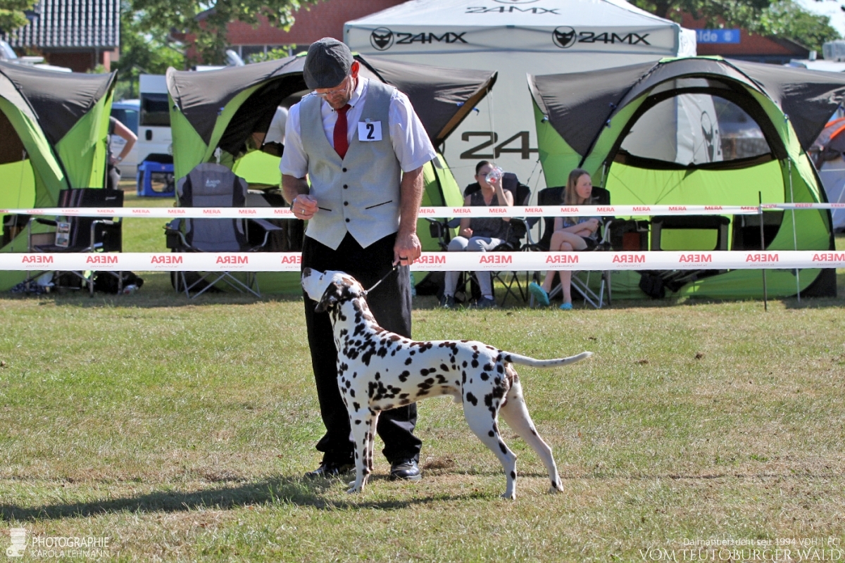 Epic Excalibur vom Teutoburger Wald (Nils) 1. Platz - TAGESBESTER FUNHUND