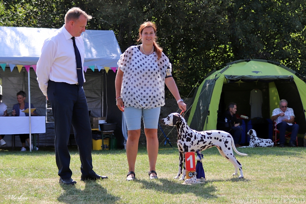 Jugend Klasse Hündinnen: Outstanding Odette vom Teutoburger Wald V: Int. Ch. Insomnium Blood Diamond M: Ch. Endearing Edina vom Teutoburger Wald Doghandler: Assja Markov 01.09.2024 – Vorzüglich Platz 1