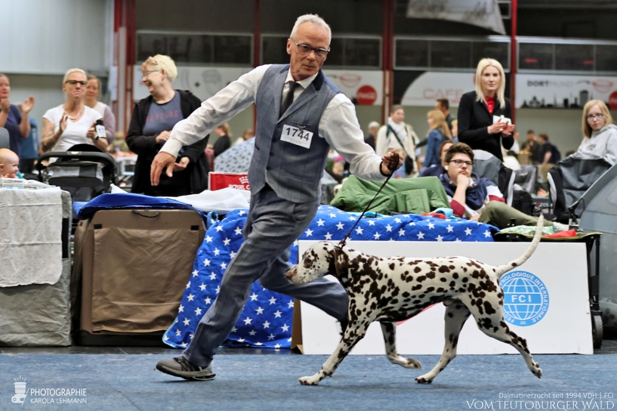 Veteranen Klasse Rüden: Ch Fantastic Four vom Teutoburger Wald V: Ch Christi ORMOND Magic Moon M: Ch Treasure Toulouse vom Teutoburger Wald Vorzüglich Platz 2 Veteranen Klasse Rüden: Ch Fantastic Four vom Teutoburger Wald V: Ch Christi ORMOND Magic Moon M: Ch Treasure Toulouse vom Teutoburger Wald Vorzüglich Platz 2