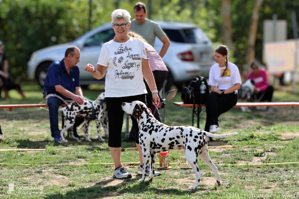 Fun Klasse Rüden Epic Excalibur vom Teutoburger Wald Vater: Thalcida's Hamlet Mutter: Christi ORMOND Knjazjouna Kyra 29.08.2026 – Platz 2 Doghandler: Anja Fries Fun Klasse Rüden Epic Excalibur vom Teutoburger Wald Vater: Thalcida's Hamlet Mutter: Christi ORMOND Knjazjouna Kyra 29.08.2026 – Platz 2 Doghandler: Anja Fries