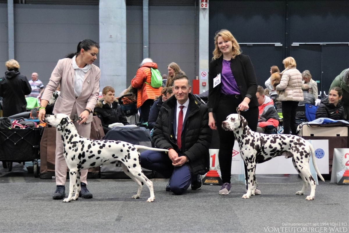 CACIB Internationale Ausstellung Offenburg 2023 (DE) BEST IN GROUP Platz 1 – Internationaler und Multi Champion Canadian Club vom Teutoburger Wald 