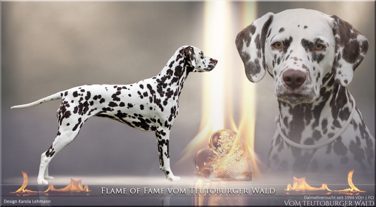 Datenblatt Flame of Fame vom Teutoburger Wald Datenblatt Flame of Fame vom Teutoburger Wald