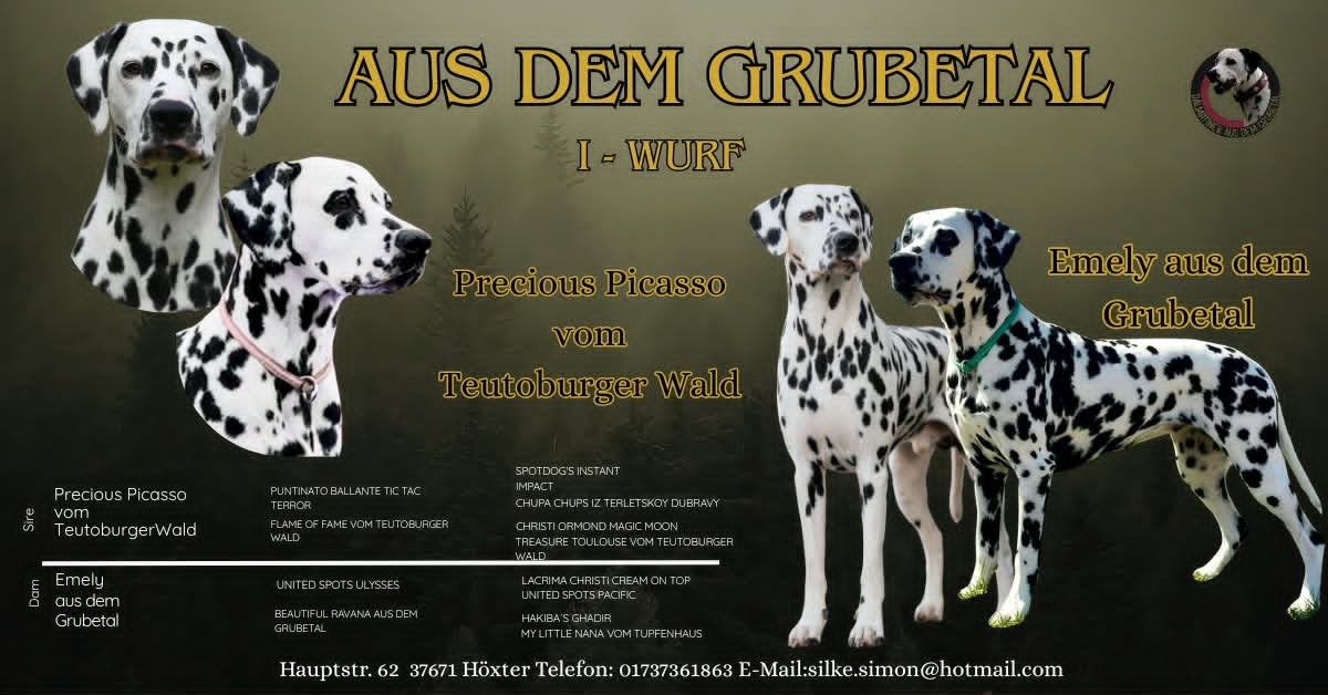 Precious Picasso vom Teutoburger Wald und Emely aus dem Grubetal Precious Picasso vom Teutoburger Wald und Emely aus dem Grubetal