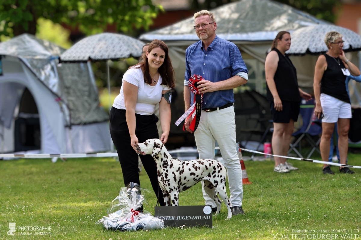 Jugend Klasse Hündinnen (9 Meldungen) JCh Timeless Twilight vom Teutoburger Wald V: Int + Multi Ch Running Spot’s Dancing Bob M: Ch Jameelah’s Journey vom Teutoburger Wald Doghandler: Michael Lehmann + Sinah Kok Vorzüglich Platz 1 DZGD Felde-Jugendsiegerin 2026 BESTER JUGEND Jugend Klasse Hündinnen (9 Meldungen) JCh Timeless Twilight vom Teutoburger Wald V: Int + Multi Ch Running Spot’s Dancing Bob M: Ch Jameelah’s Journey vom Teutoburger Wald Doghandler: Michael Lehmann + Sinah Kok Vorzüglich Platz 1 DZGD Felde-Jugendsiegerin 2026 BESTER JUGEND