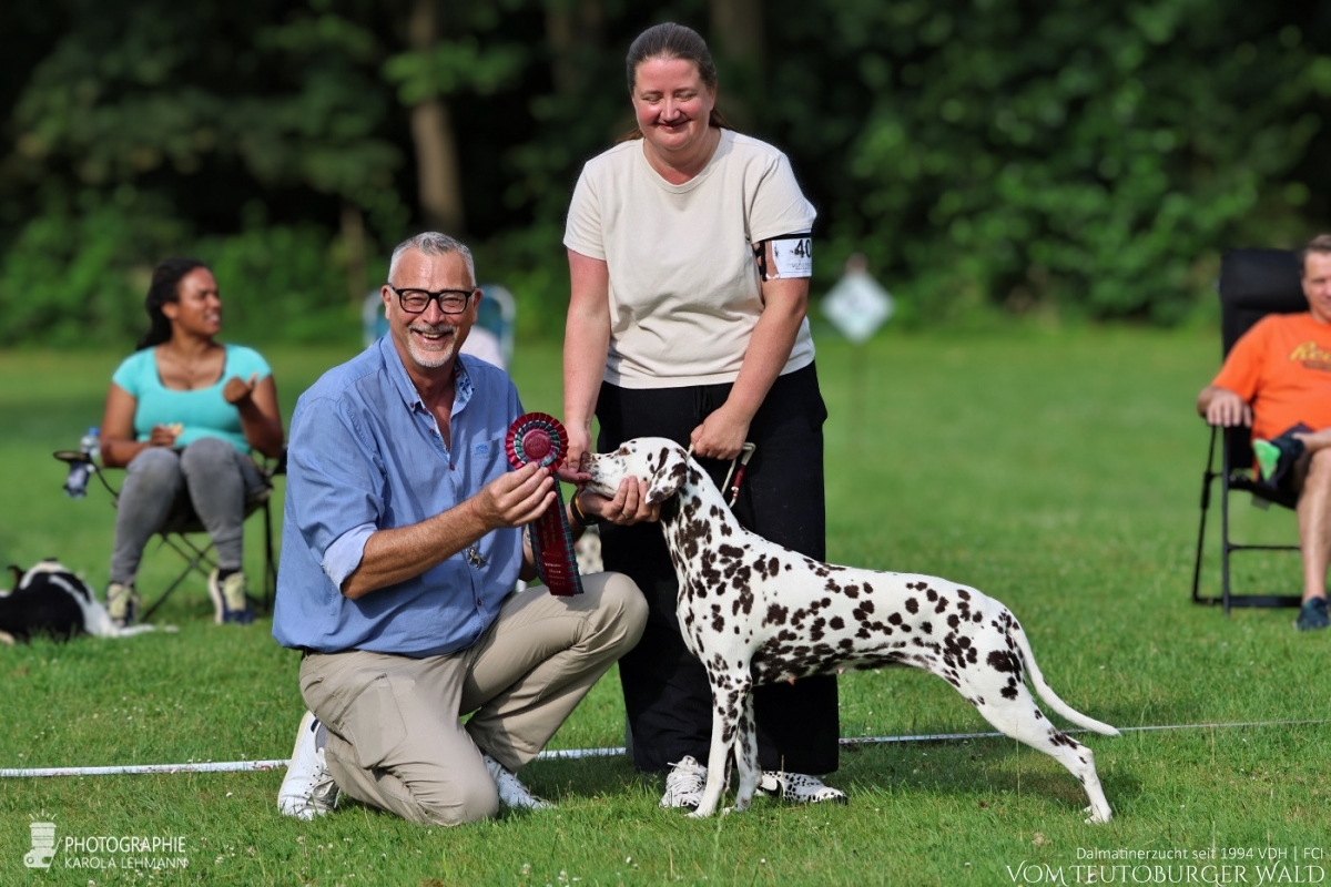 Veteranen Klasse Hündinnen (2 Meldungen) Ch Flame of Fame vom Teutoburger Wald V: Ch. Christi ORMOND Magic Moon M: Ch Treasure Toulouse vom Teutoburger Wald Doghandler: Ann Christin Leitow Vorzüglich Platz 1 DZGD Felde-Veteranensiegerin 2026 BESTER VETERAN Veteranen Klasse Hündinnen (2 Meldungen) Ch Flame of Fame vom Teutoburger Wald V: Ch. Christi ORMOND Magic Moon M: Ch Treasure Toulouse vom Teutoburger Wald Doghandler: Ann Christin Leitow Vorzüglich Platz 1 DZGD Felde-Veteranensiegerin 2026 BESTER VETERAN